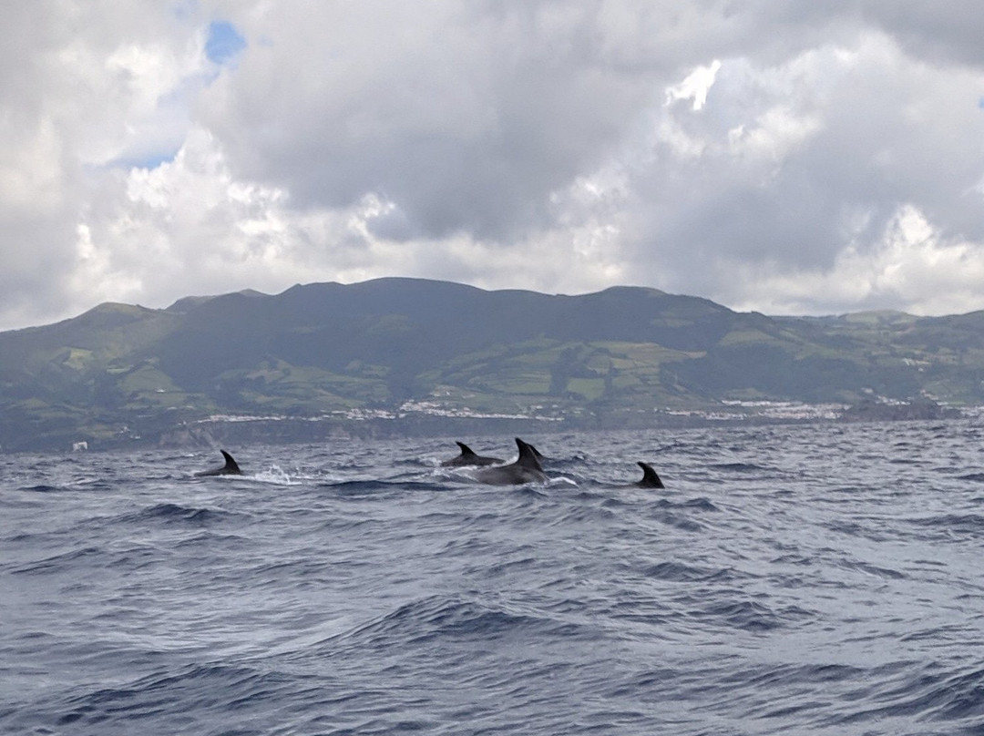 Sea Colors Azores景点图片