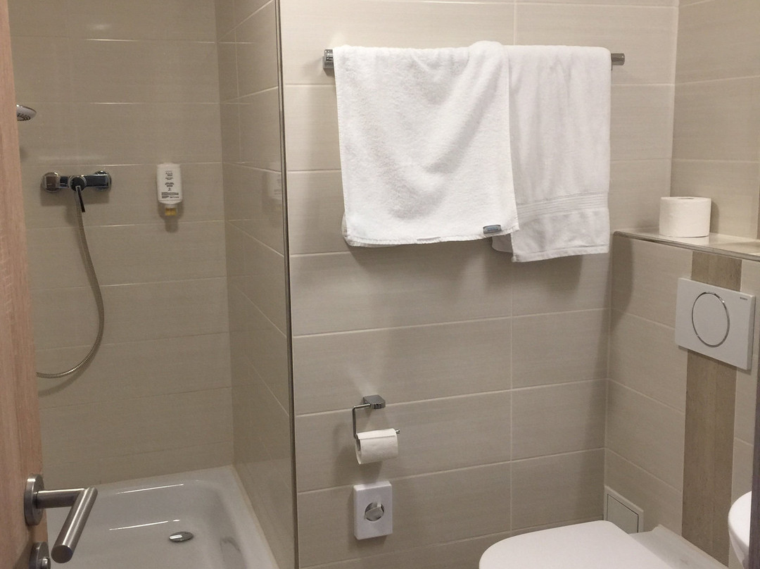 美因茨酒店主图