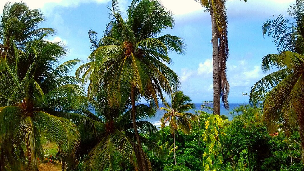 Le M Hotel Marie Galante主图