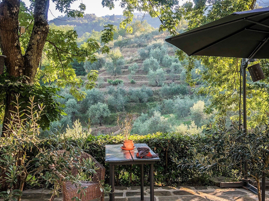 Agriturismo Tananei - Extra Virgin Olive Oil experience-Marliana必去景点