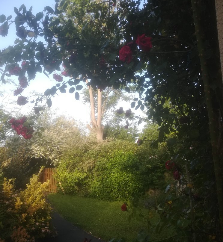 Moulin des Foulons主图