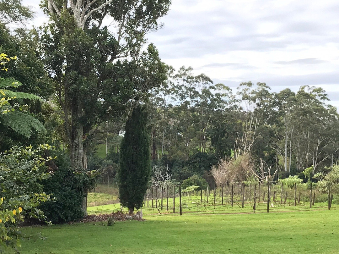 The Vino Bus - Winery Tours-布里斯班必去景点