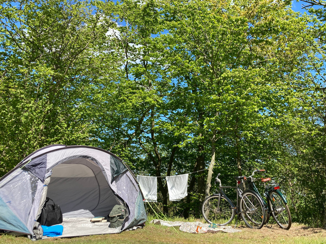 Bådsted Camping