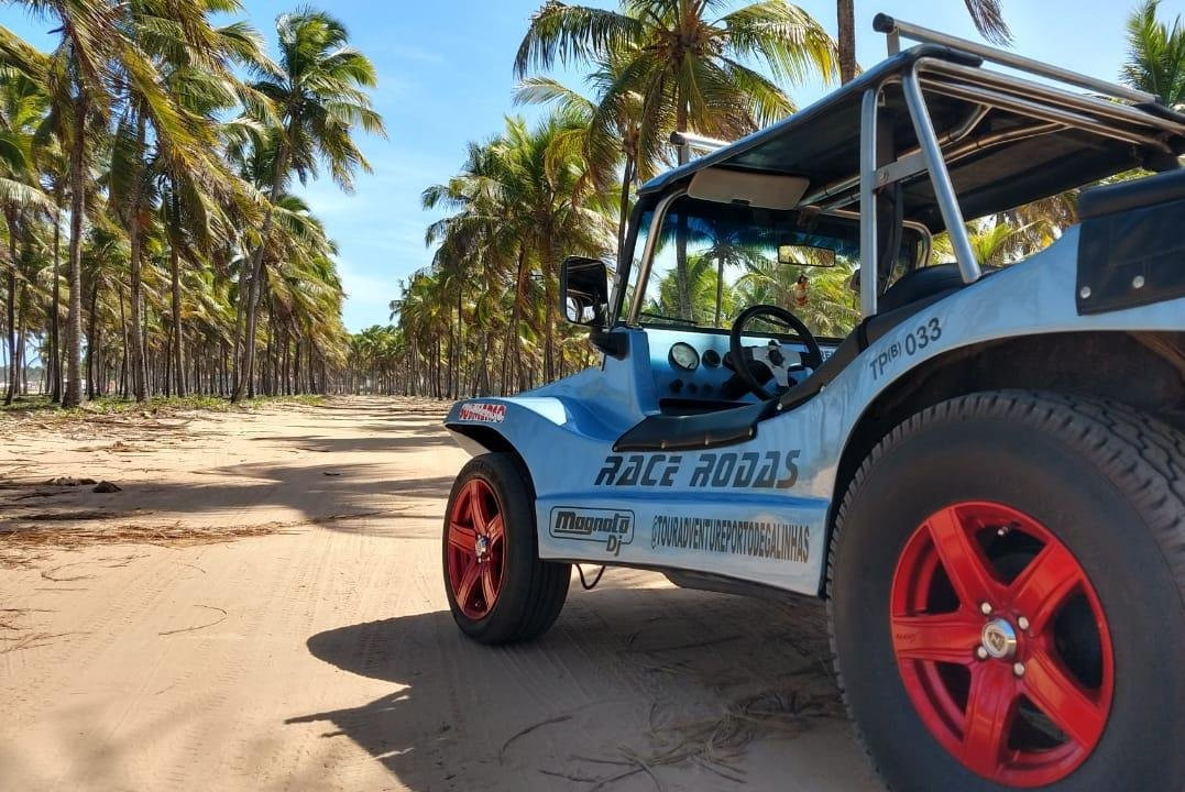 TourAdventure Porto de Galinhas-嘎林海斯港必去景点