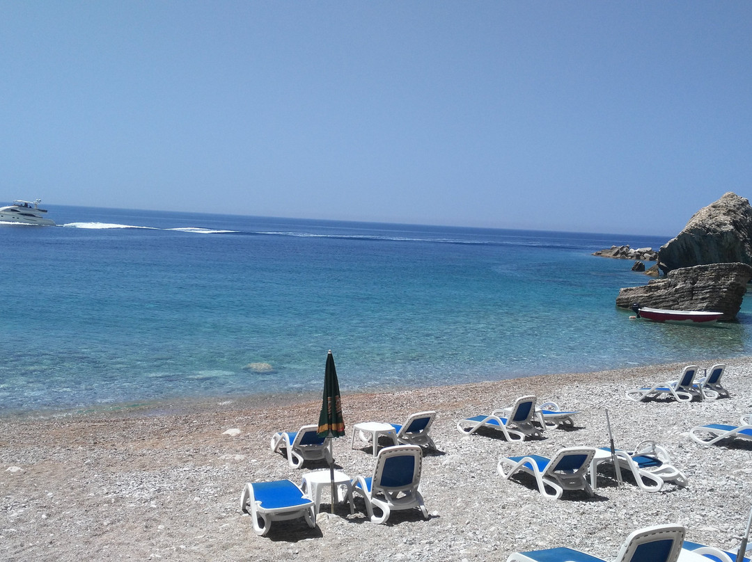 Fenix Beach and Restaurant