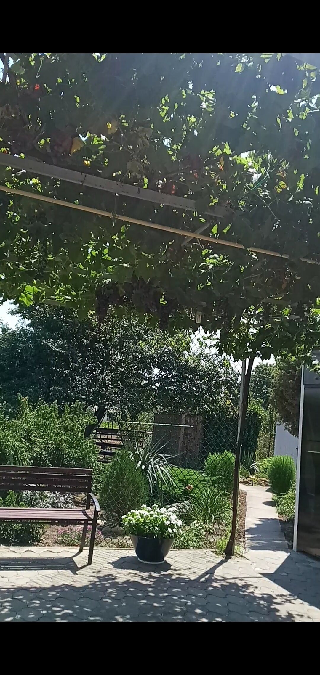 Gostevoi Dom Uyut-官方