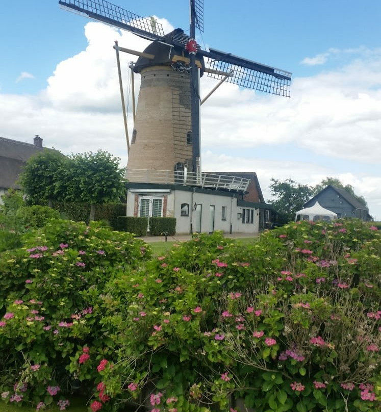 Molen Geesina-Groenekan必去景点