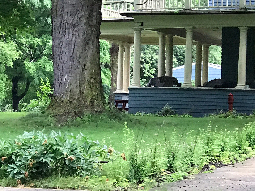 Saravilla Bed and Breakfast主图