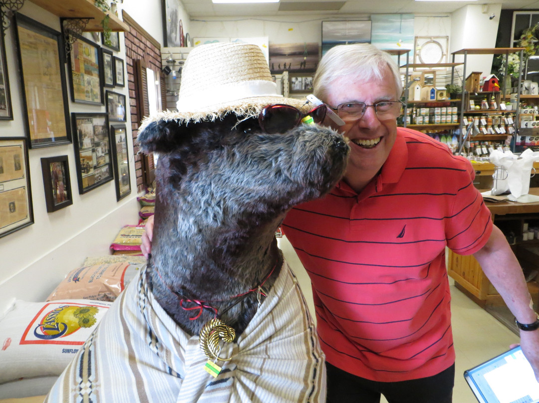 Coyle's Country Store-Tillsonburg必去景点