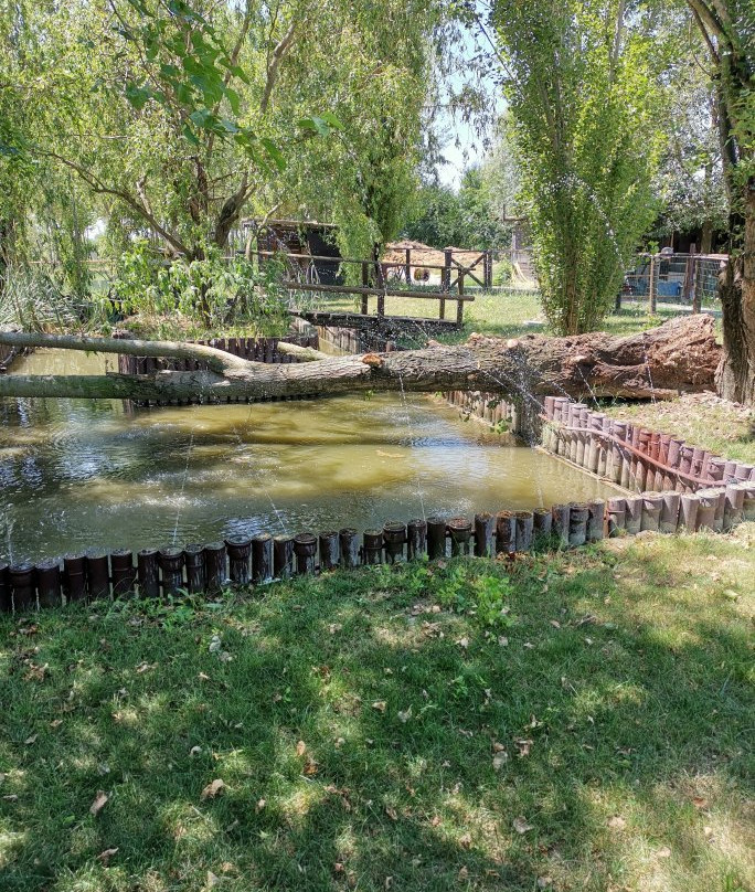 Agriturismo Casa Carpanelli主图
