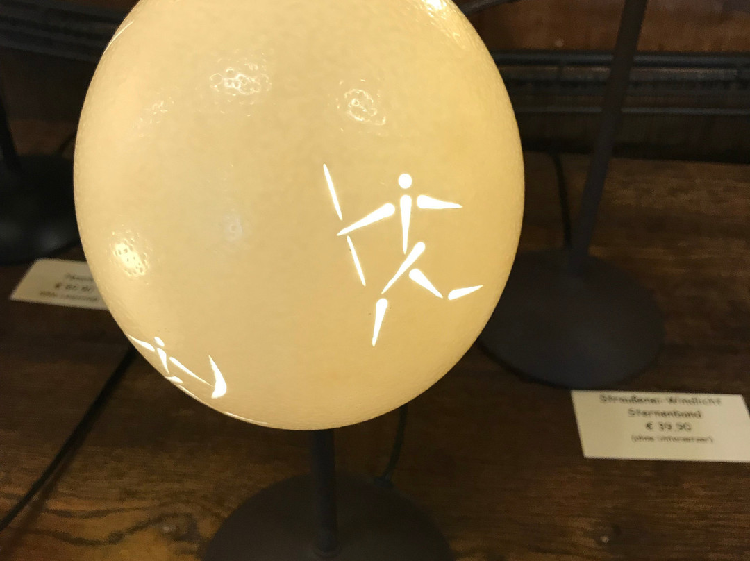 Straussenfarm Mhou-Rulzheim必去景点