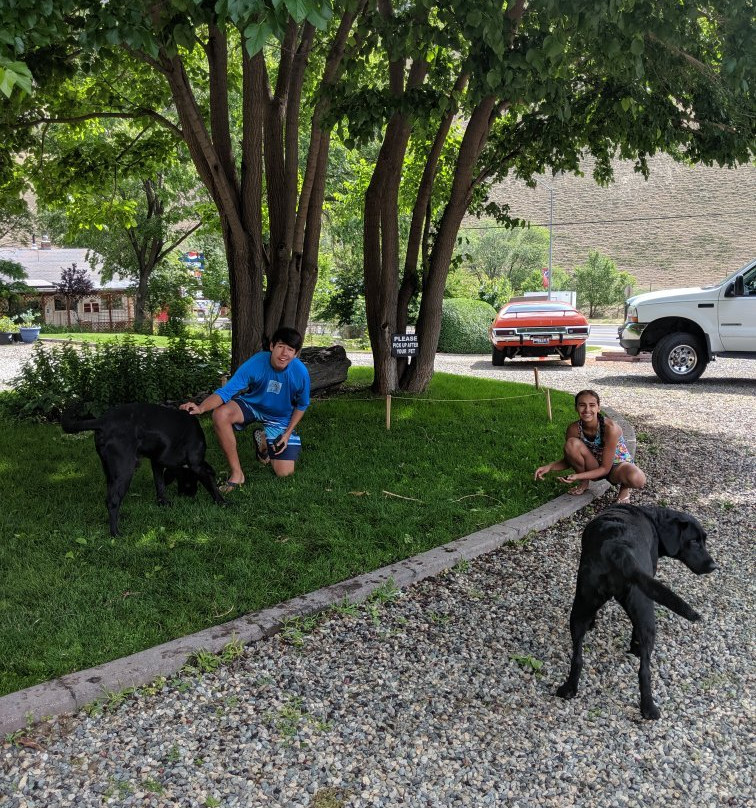 Big Iron Motel主图