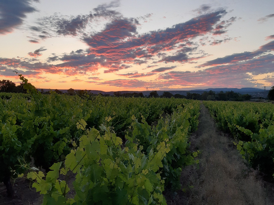 Domaine De Lamartine主图