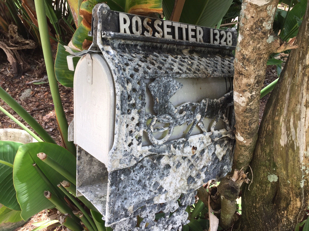 Historic Rossetter House  Museum and Gardens景点图片