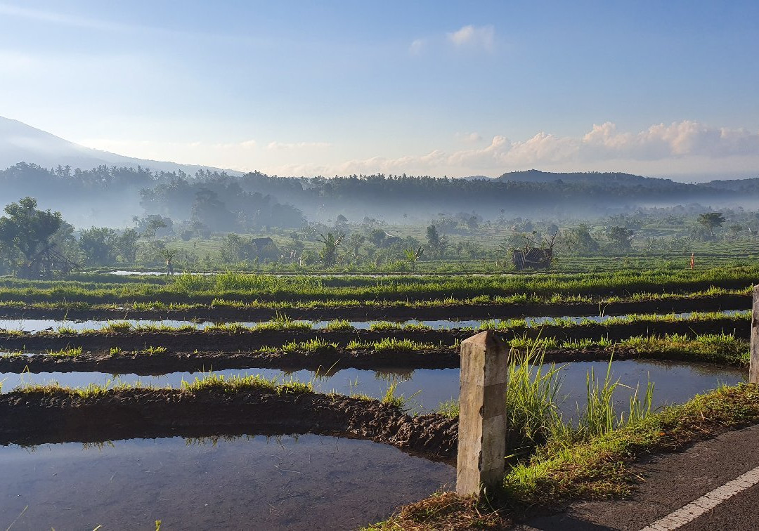 Bali Booking Tour景点图片