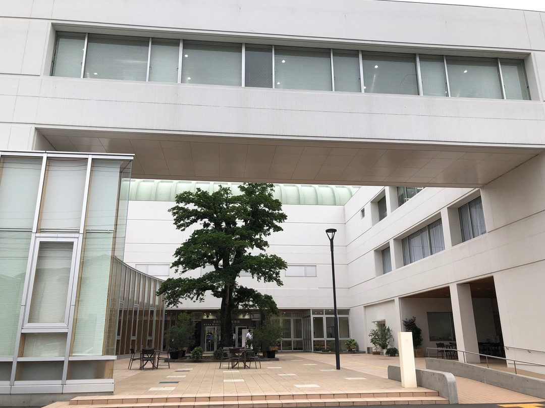 HIta City Museum-日田市必去景点