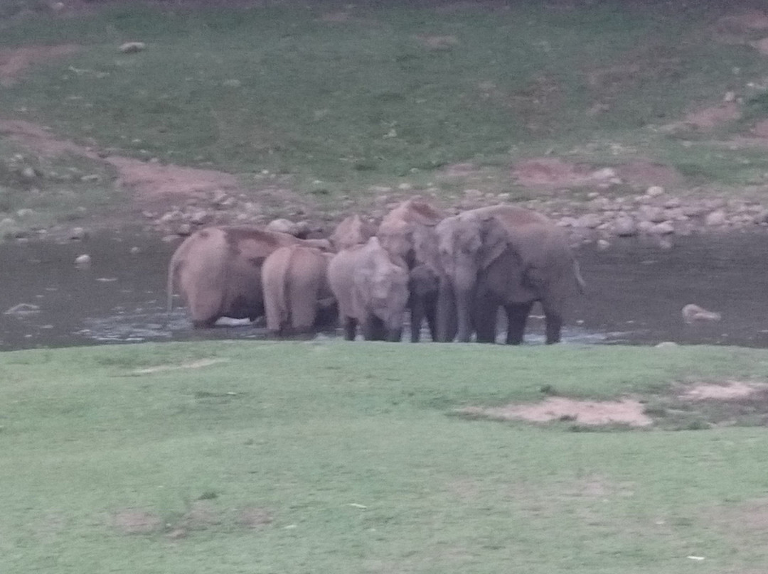 Elephant View Point景点图片