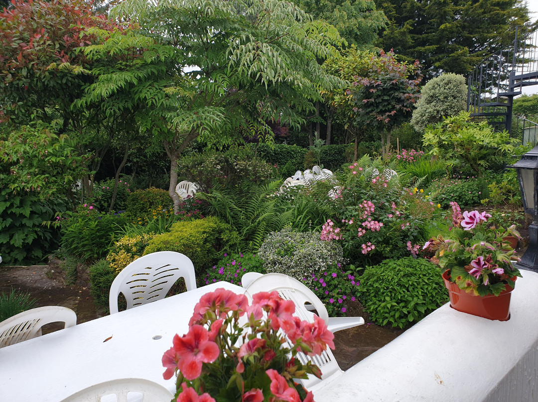 Southern Cross Guest House主图