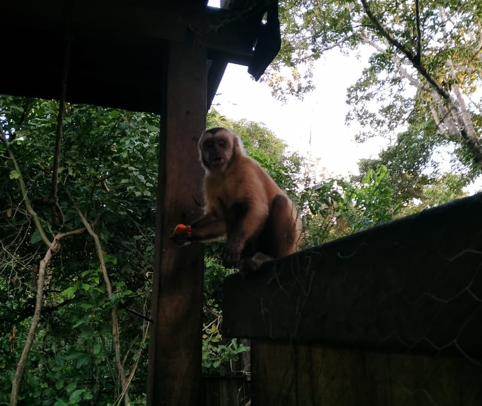 Pousada Rural Cabanas do Pontal主图