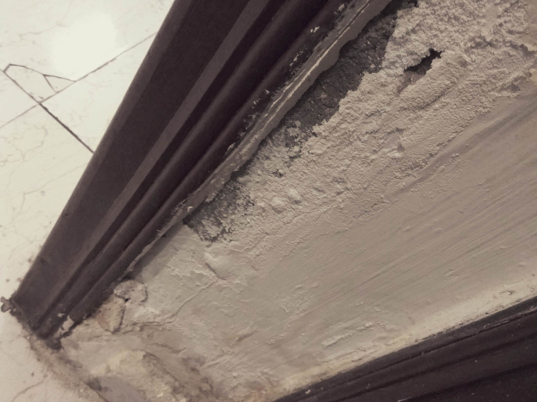 The Lake Land Country Club Residency主图