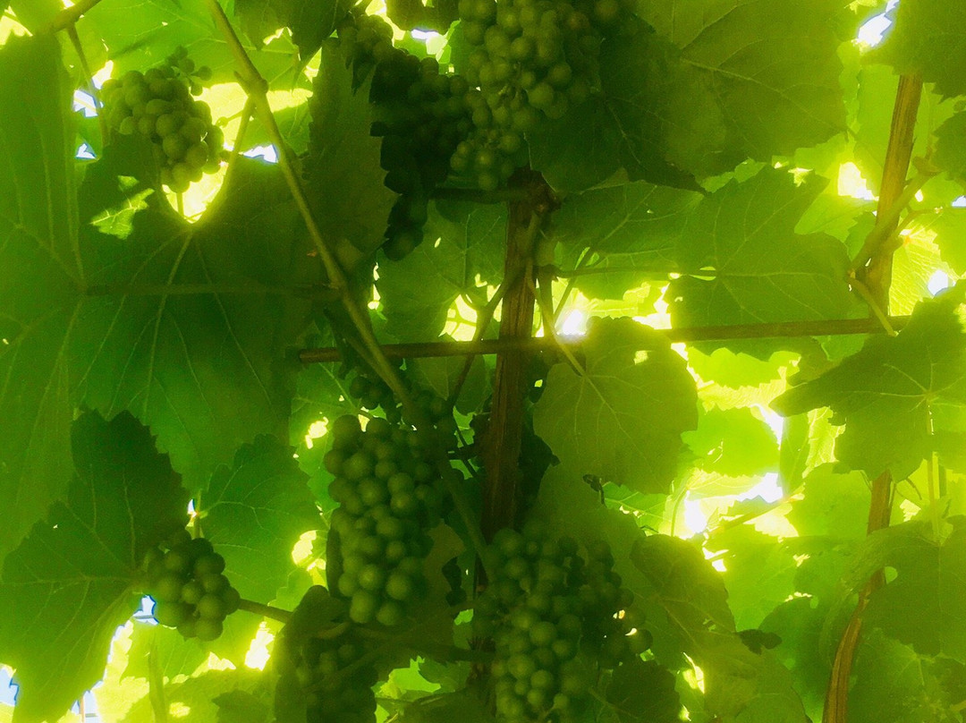 大连小黑山-大连市必去景点