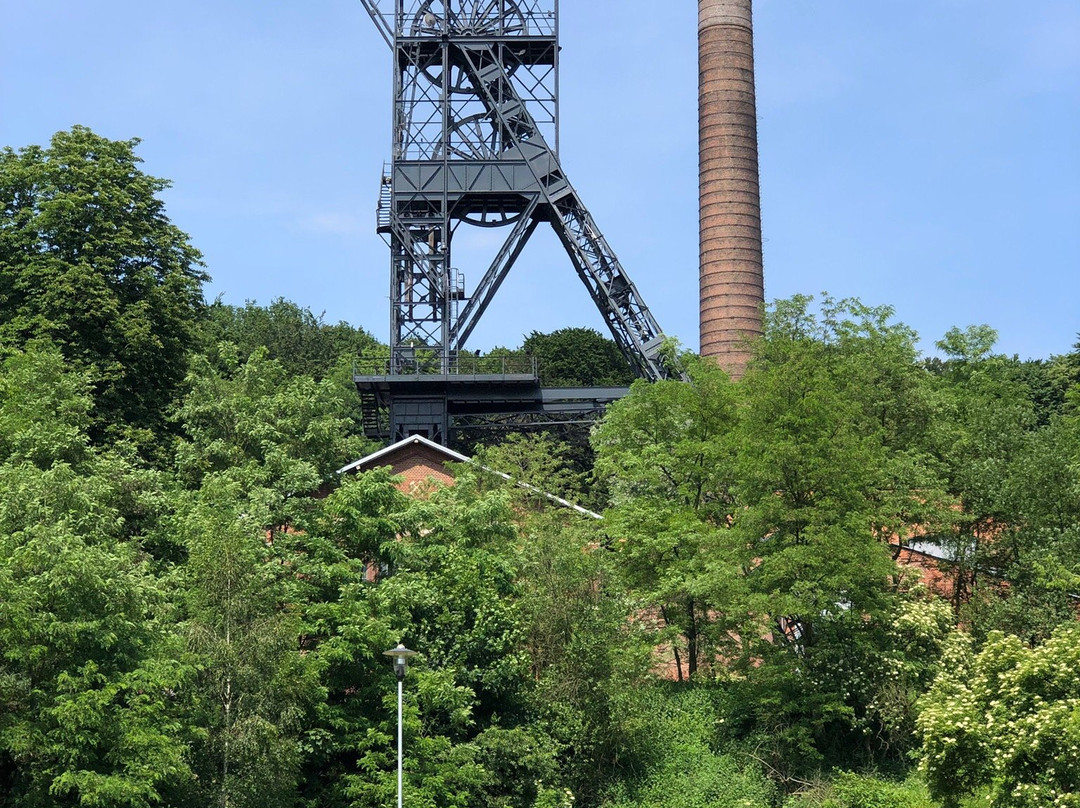 Landek Park Mining Museum景点图片