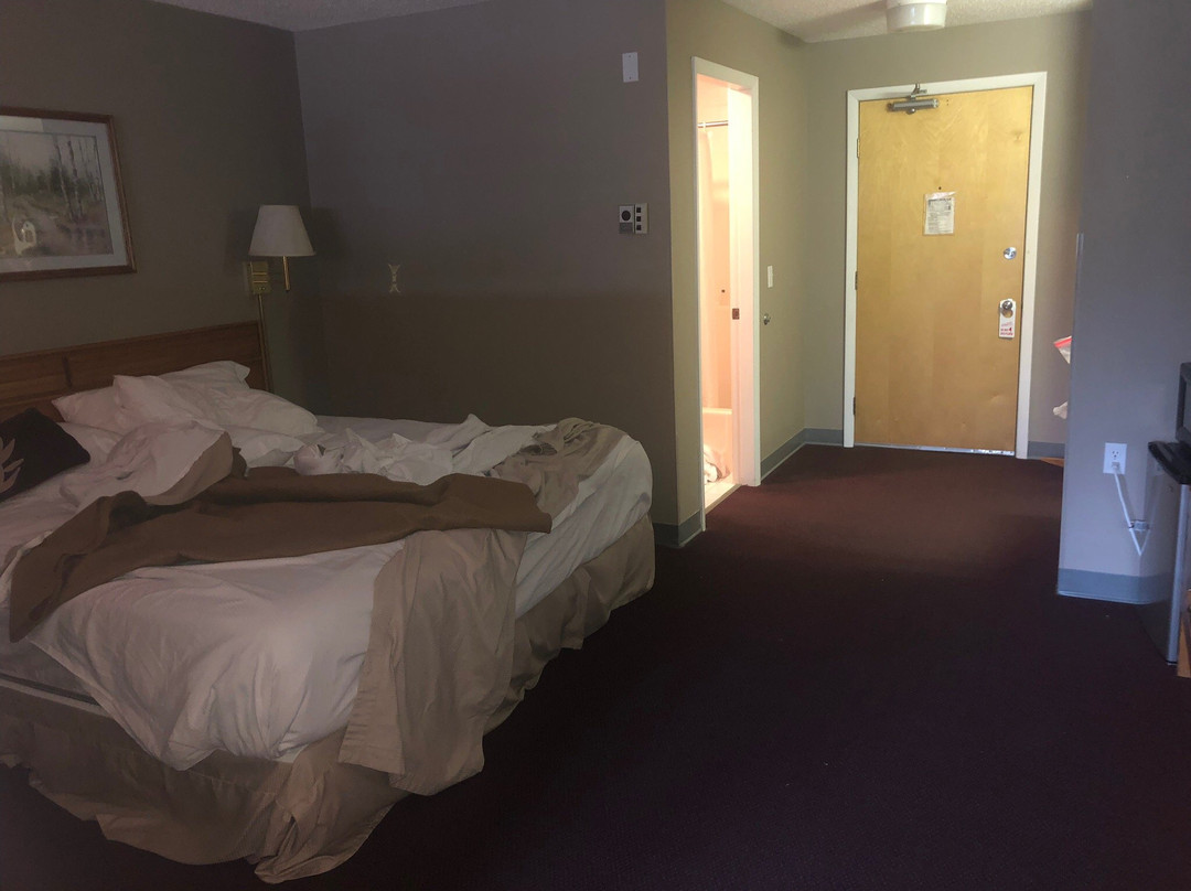 Quality Inn & Suites主图