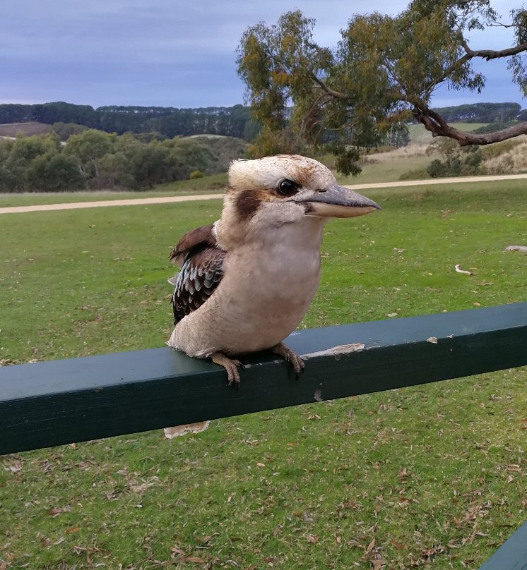 Southern Ocean Retreats主图