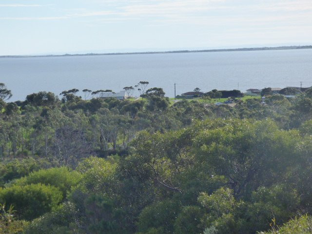 Meningie Lookout-Meningie必去景点