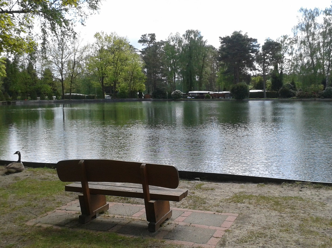 Campingplatz Holm-Seppensen