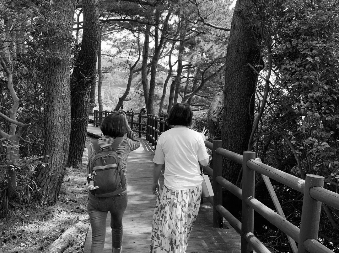 Hwangwooji Coast-西归浦市必去景点
