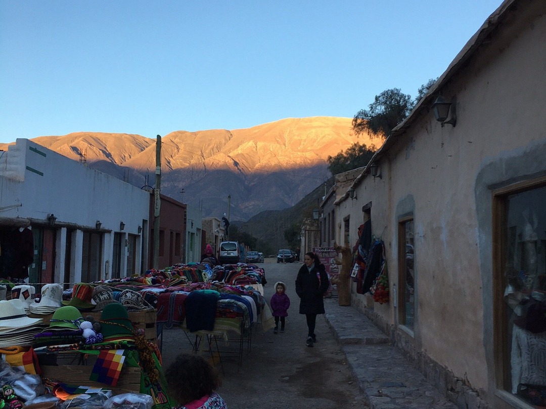 El Viejo Algarrobo主图