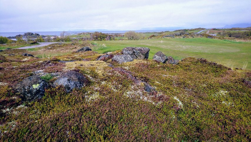 Lofoten Links景点图片