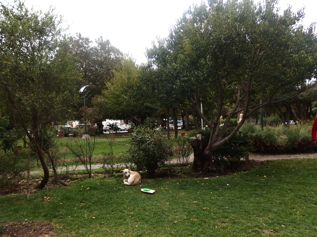 Plaza San Martin-圣马丁德洛斯安第斯必去景点