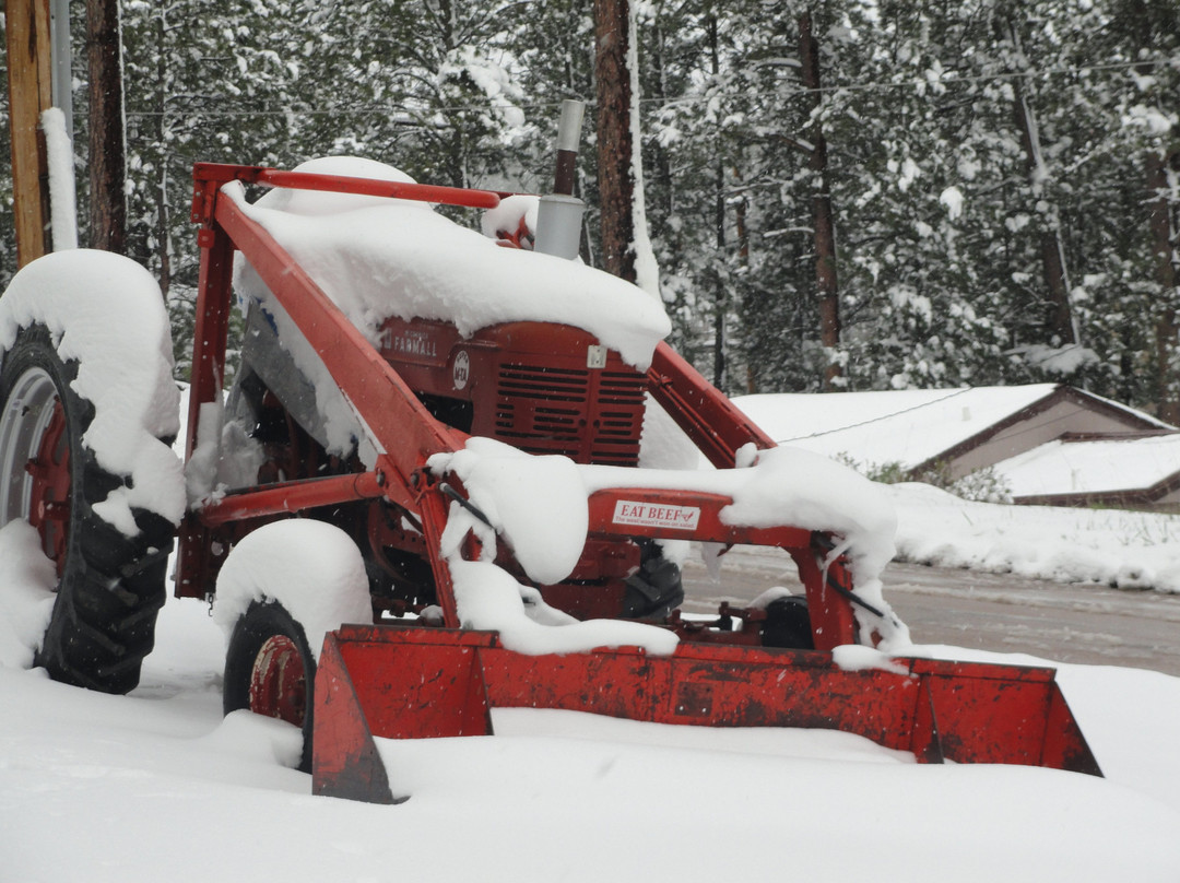 Shady Rest Motel主图