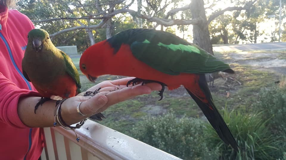 Around About Lorne主图