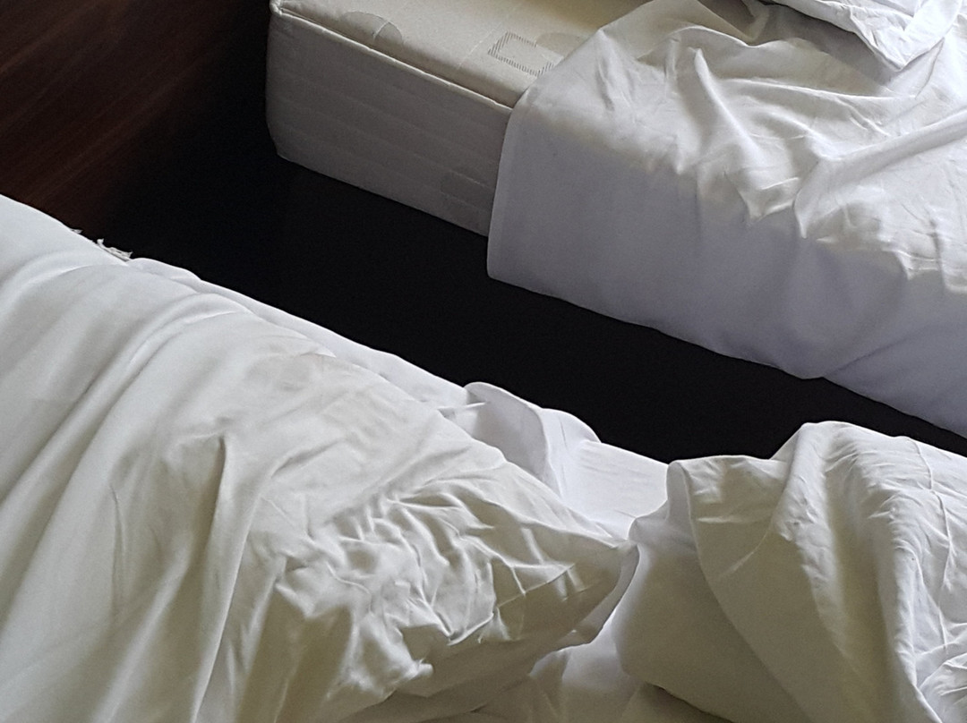 Hotel Chrobry主图