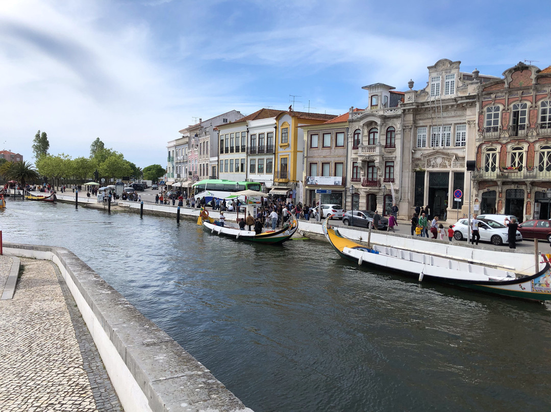Explore - Aveiro Walking Tour-阿威罗必去景点