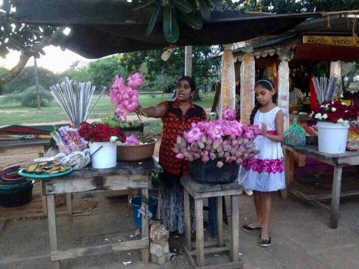 Discover Sri Lanka with Bruno-班达拉维拉必去景点