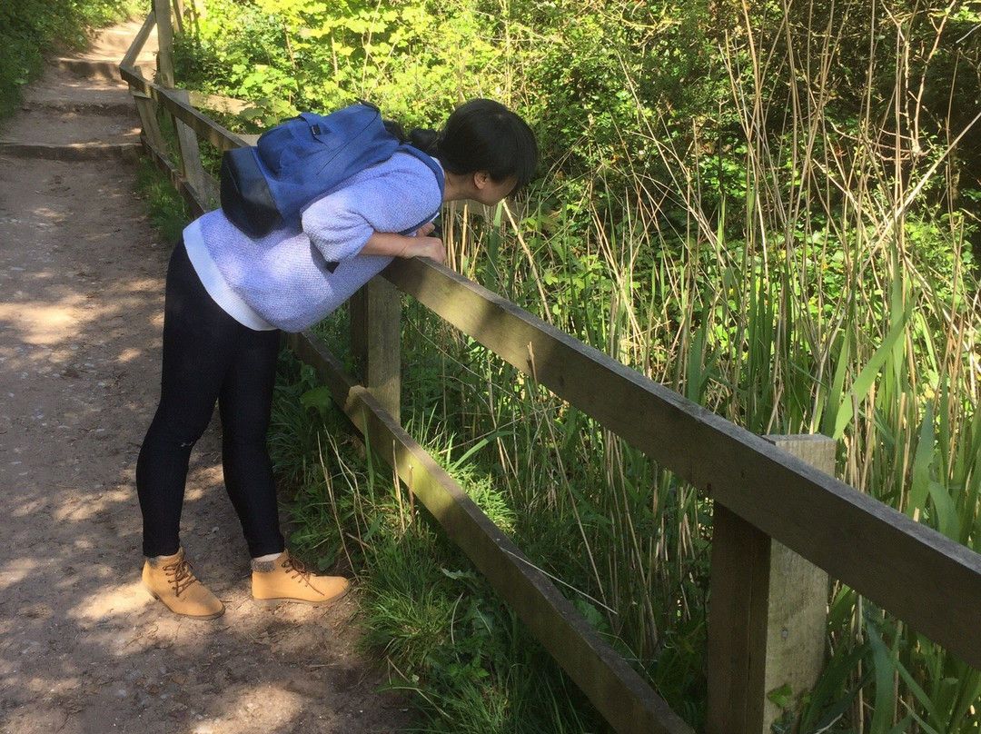 Thurstaston Visitor Centre-Thurstaston必去景点