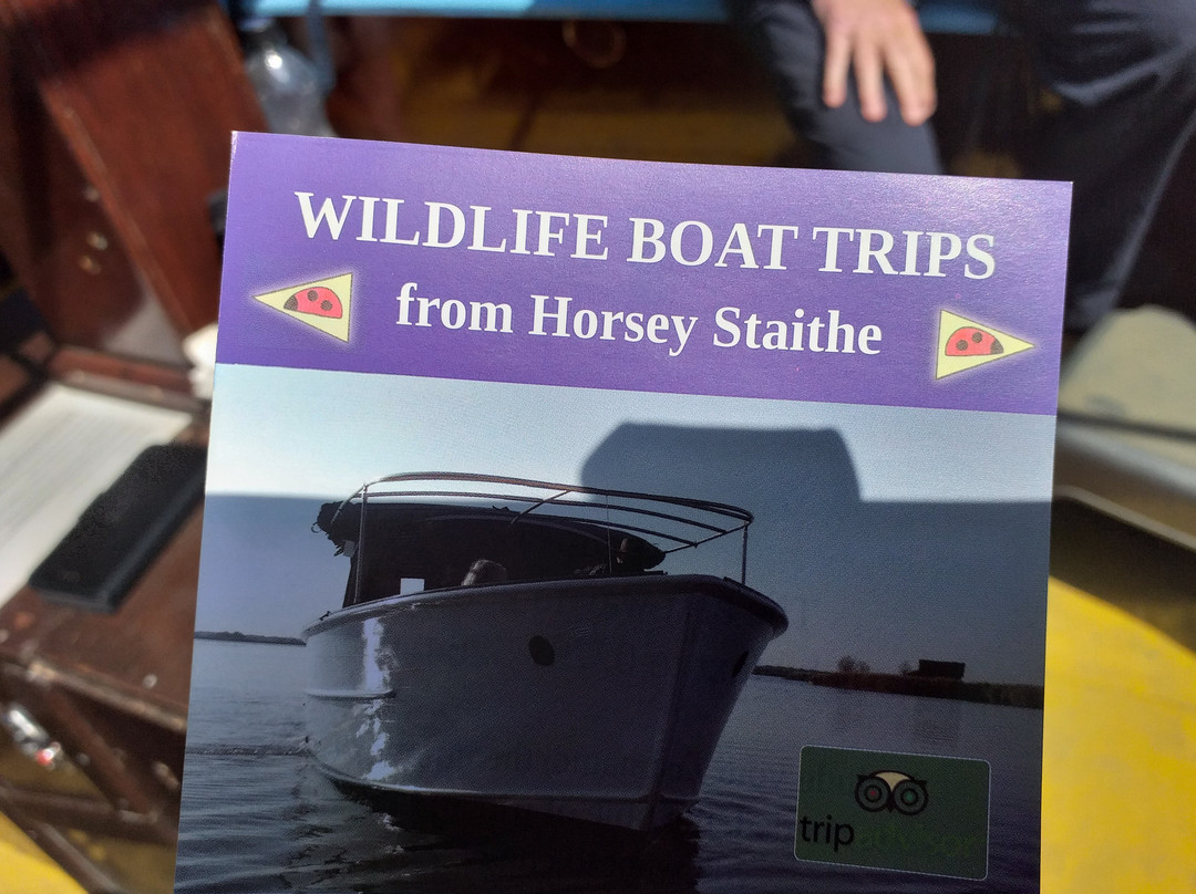 Ross' Wildlife Boat Trips景点图片