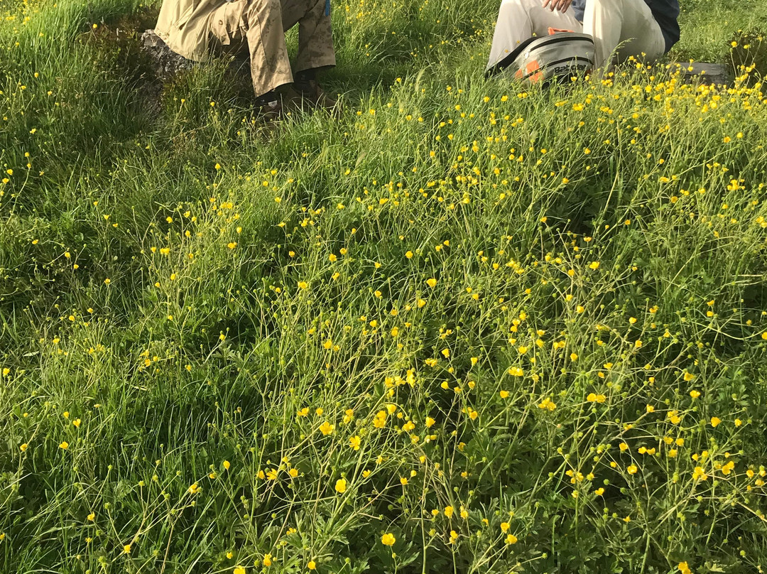 Qashqai Nomad Village-Shiraz必去景点