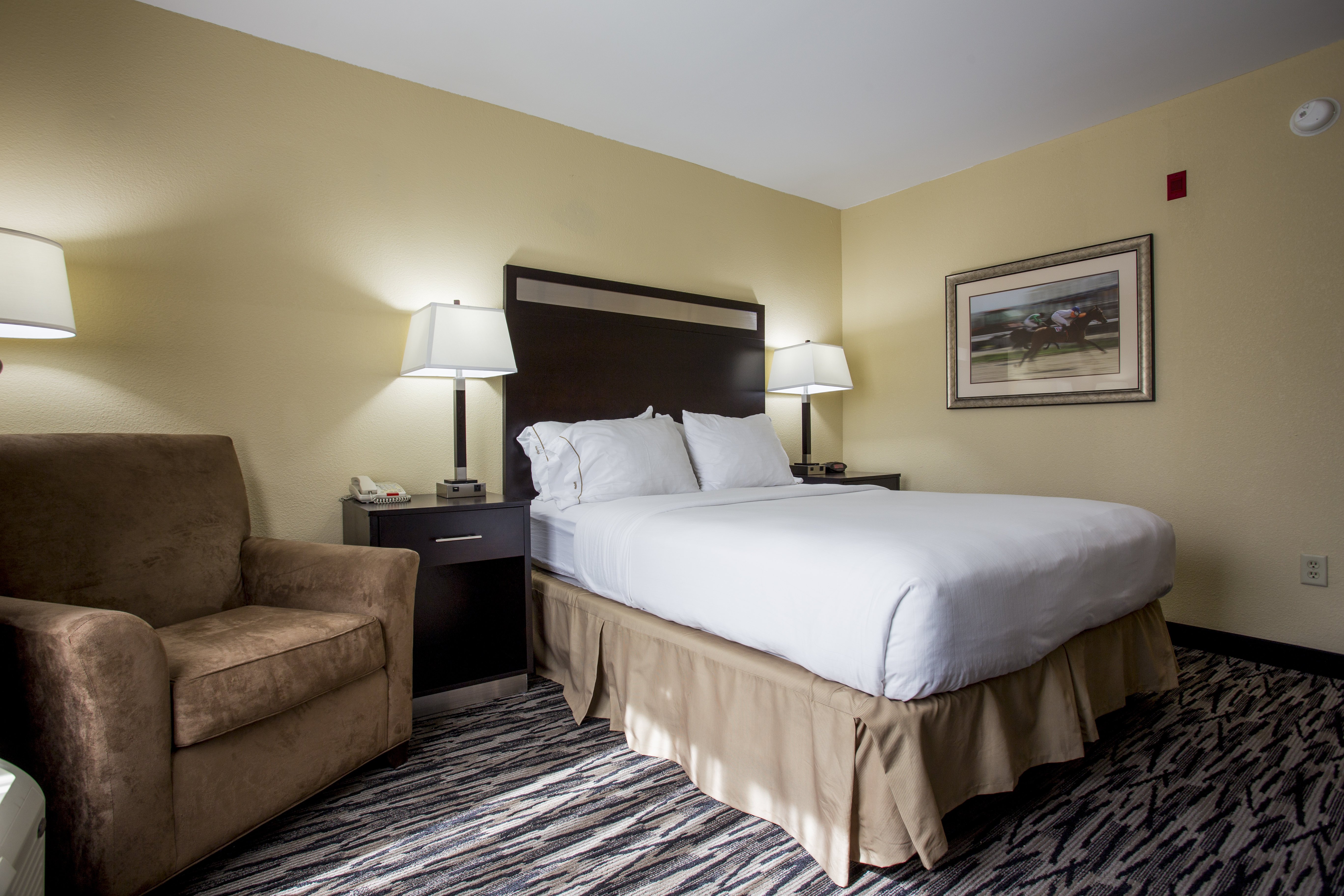 Holiday Inn Express & Suites Camden-I20 / Hwy 521, an IHG hotel-官方