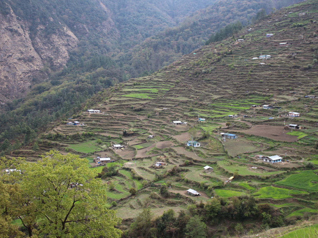 Hotel Snowfall主图