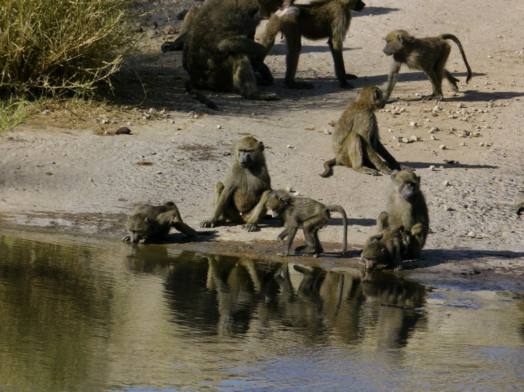 Mk Snow Tours And Travel-Naro Moru必去景点