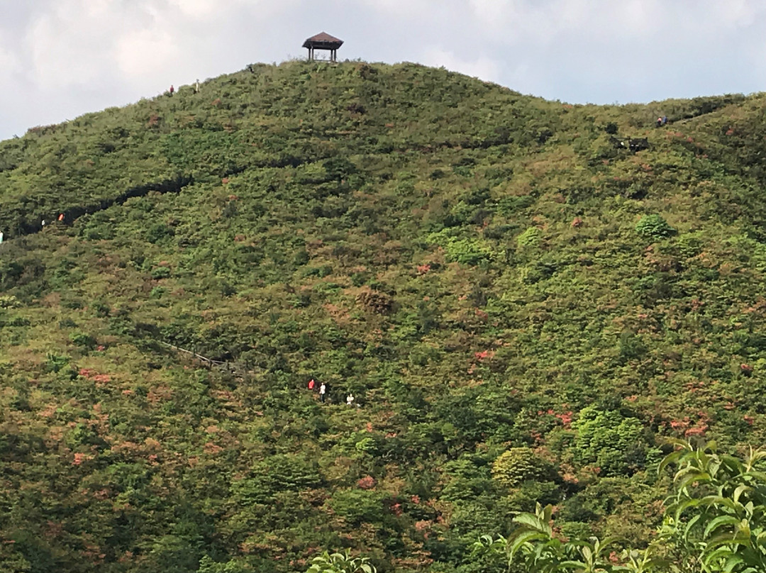 大围山国家森林公园景点图片