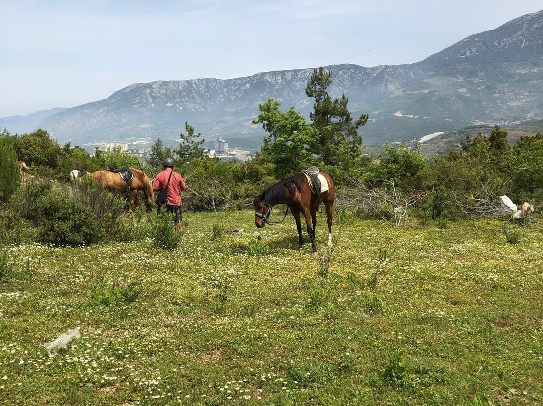 Horse Riding by Tours in Alanya景点图片