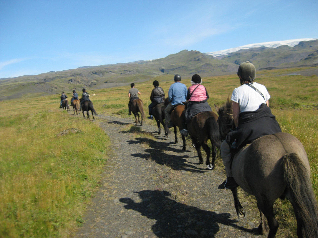 Horse rental Ytri-Skógar-Skogar必去景点