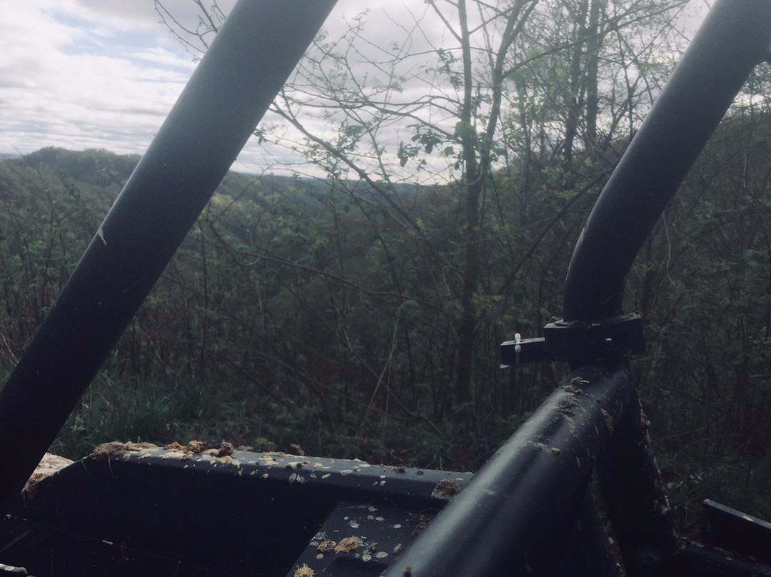 Hatfield-McCoy Trail-Lyburn必去景点