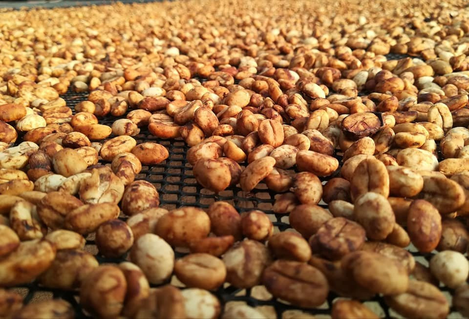 Dos Cosechas Cafe-Dosquebradas必去景点